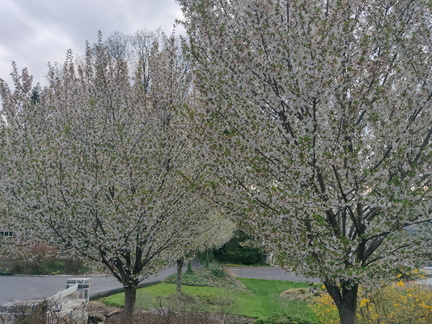 img_20240410_182209.jpg
