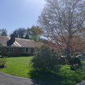 img_20240414_160708.jpg