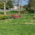 img_20240414_155327.jpg
