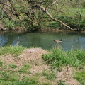img_20240414_142332.jpg