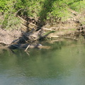 img_20240413_173316.jpg