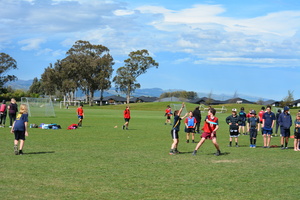 dsc_0844.jpg