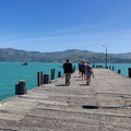 img_20241201_134118.jpg