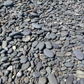 img_20241201_114411.jpg