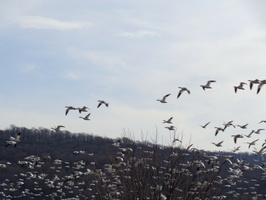 dsc00140.jpeg