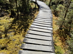 Milford Track - Great Walk 2026
